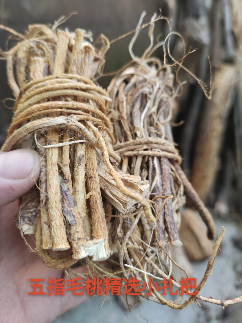 纯野生五指毛桃小扎把，加工厂一手货源，大量批发!
