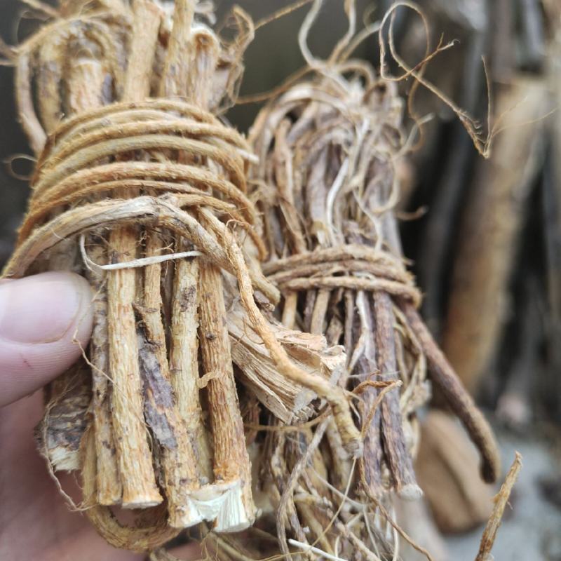 纯野生五指毛桃小扎把，加工厂一手货源，大量批发!
