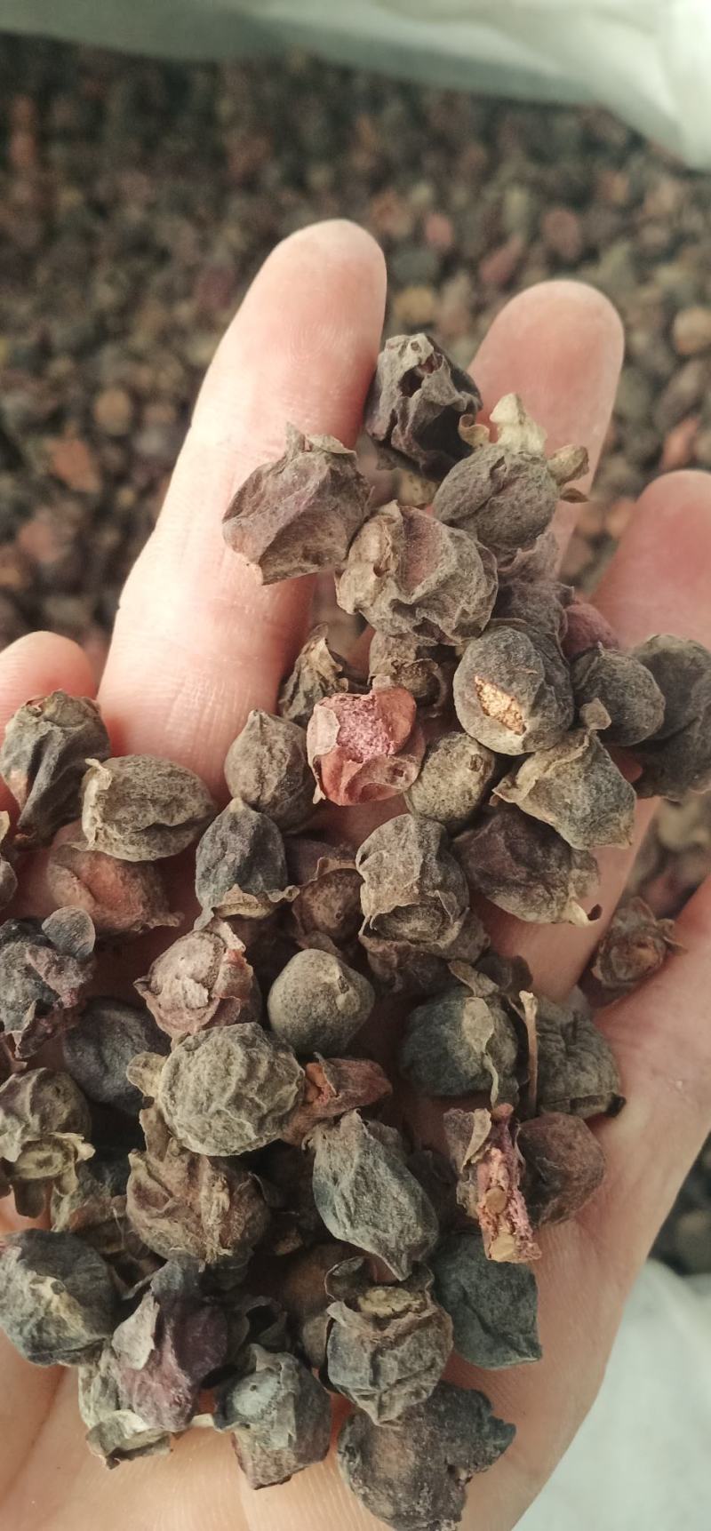 棯子干中药批发一手货源量大忧惠全国发货