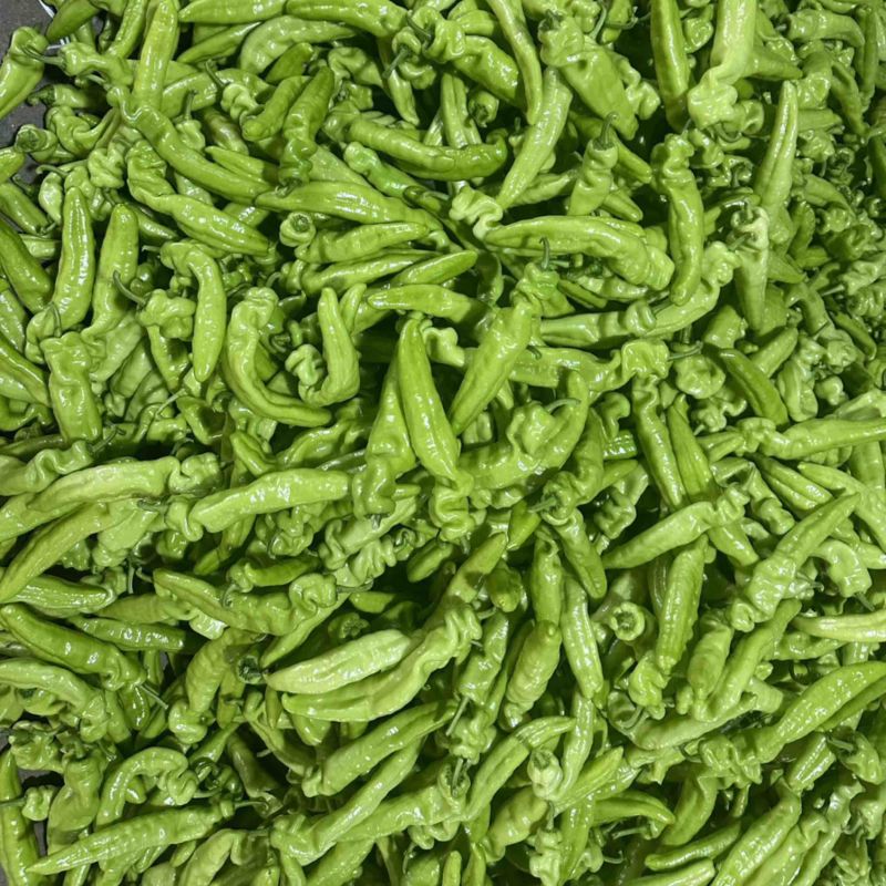 精品尖椒