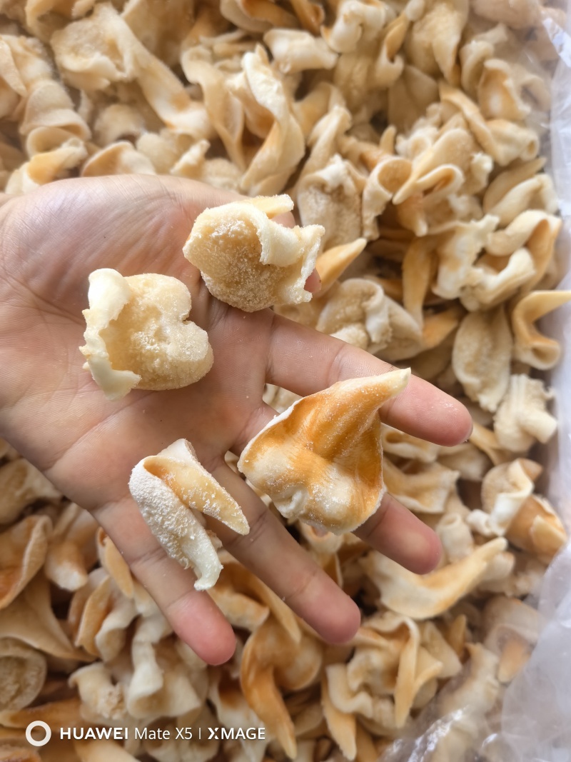 鸟贝肉超大鲜活冷冻鸟贝刺身级新鲜鸟贝烧烤火锅食材海鲜水产