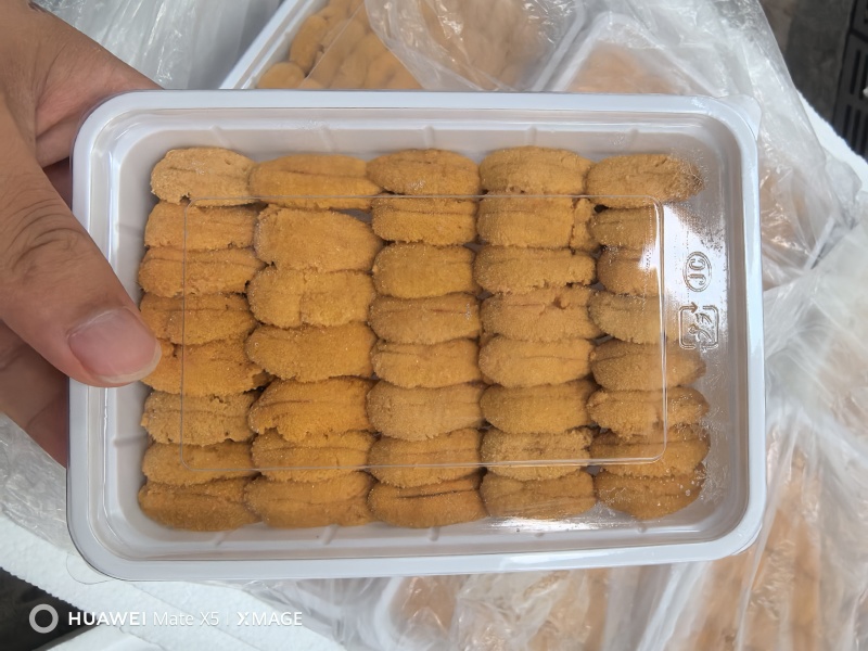大连马粪海胆一盒装100g/盒新鲜活剥冷冻海胆肉日料
