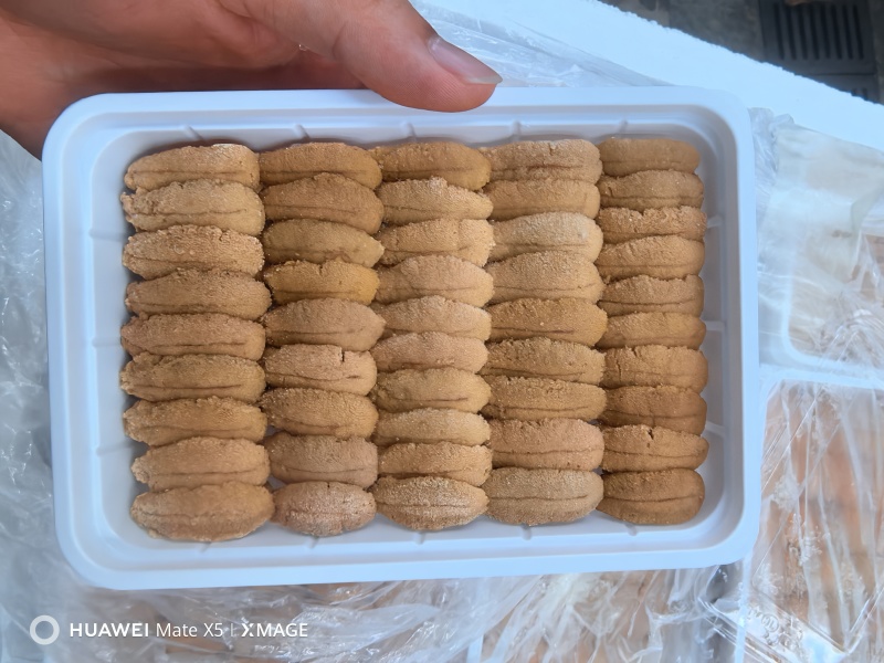 大连马粪海胆一盒装100g/盒新鲜活剥冷冻海胆肉日料