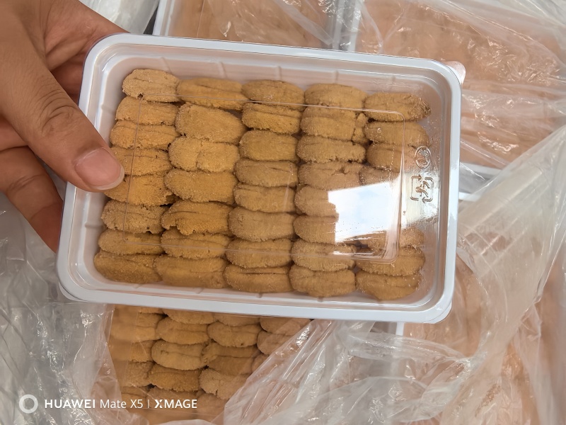 大连马粪海胆一盒装100g/盒新鲜活剥冷冻海胆肉日料