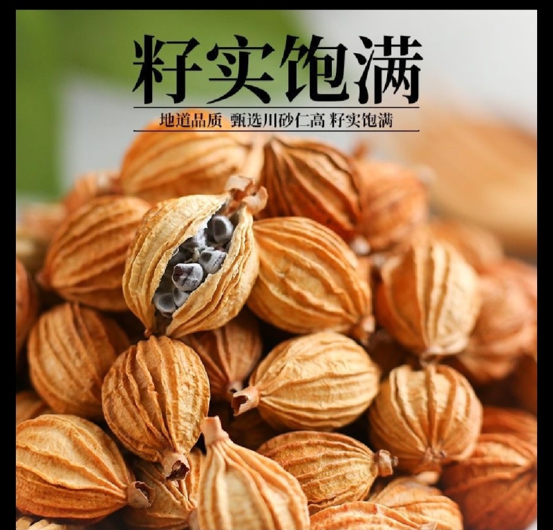 【品质优选】优质无硫净货香砂，香砂仁，可供实体店批发零售