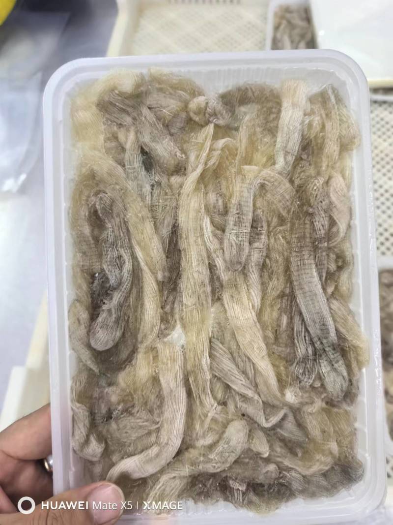 250克1盒野生沙虫新鲜去沙去肚去内脏煲汤餐厅供应海虫子