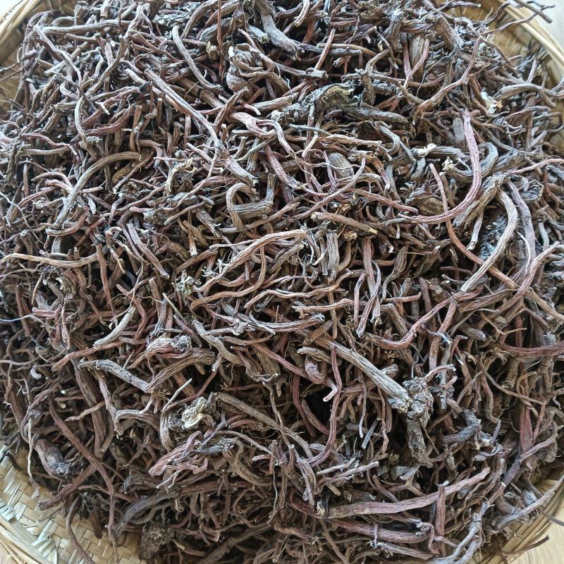 云利.滇丹参