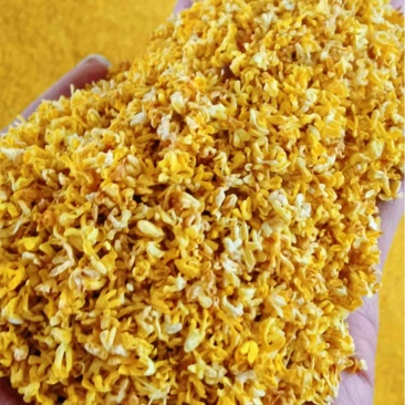 桂花干桂林特级桂花干桂花茶5A