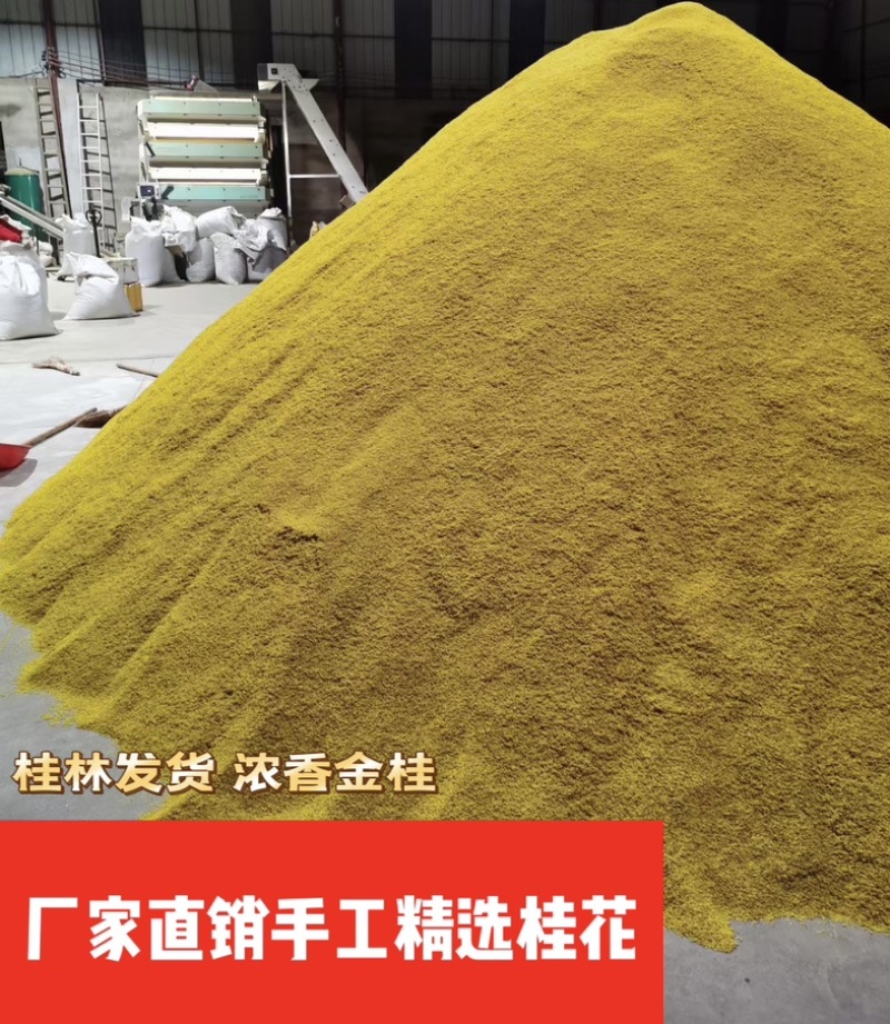 桂花干桂林特级桂花干桂花茶5A