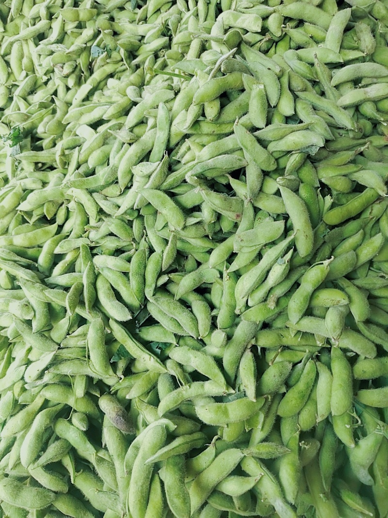 露天大青豆打米豆电商