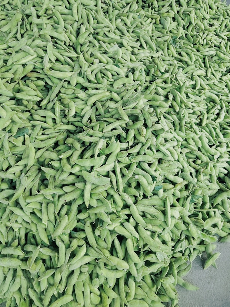 露天大青豆打米豆电商
