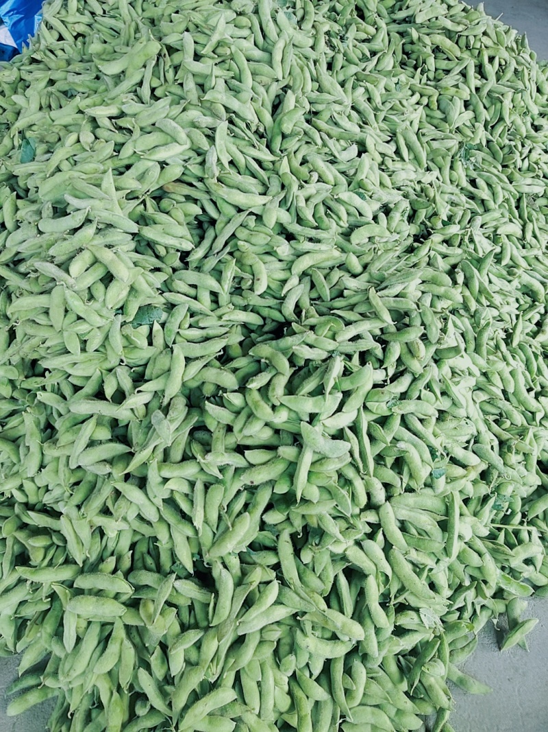 露天大青豆打米豆电商