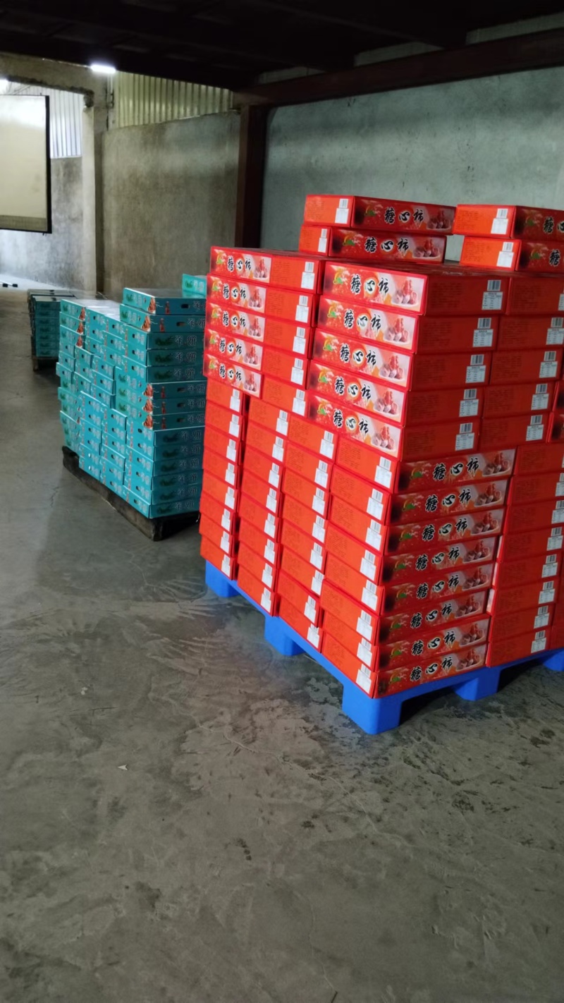 网红柿饼软糯香甜柿子饼广西桂林产地精装礼盒柿饼源头加工厂