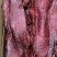 【麻辣酱香肉】猪麻辣大块肉，五香大块肉，价格美丽欢迎咨询