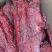 【麻辣酱香肉】猪麻辣大块肉，五香大块肉，价格美丽欢迎咨询