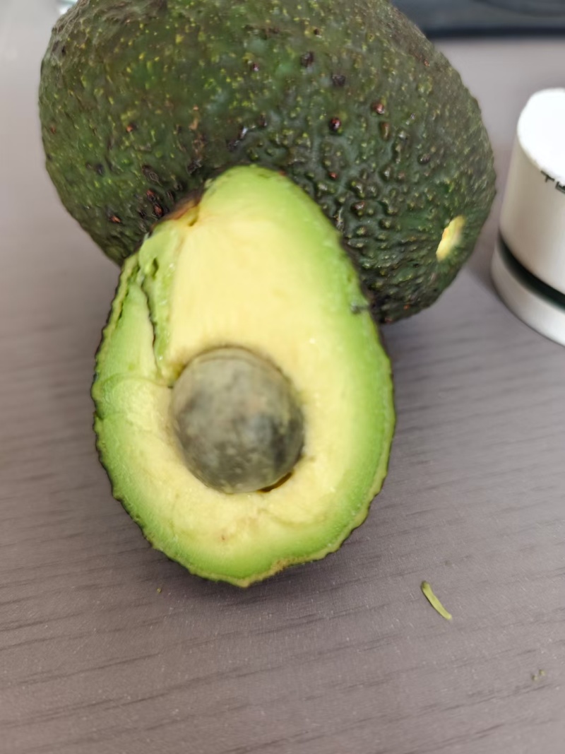 云南孟连县哈斯牛油果自家种植了十多亩果农没有中间商赚差价