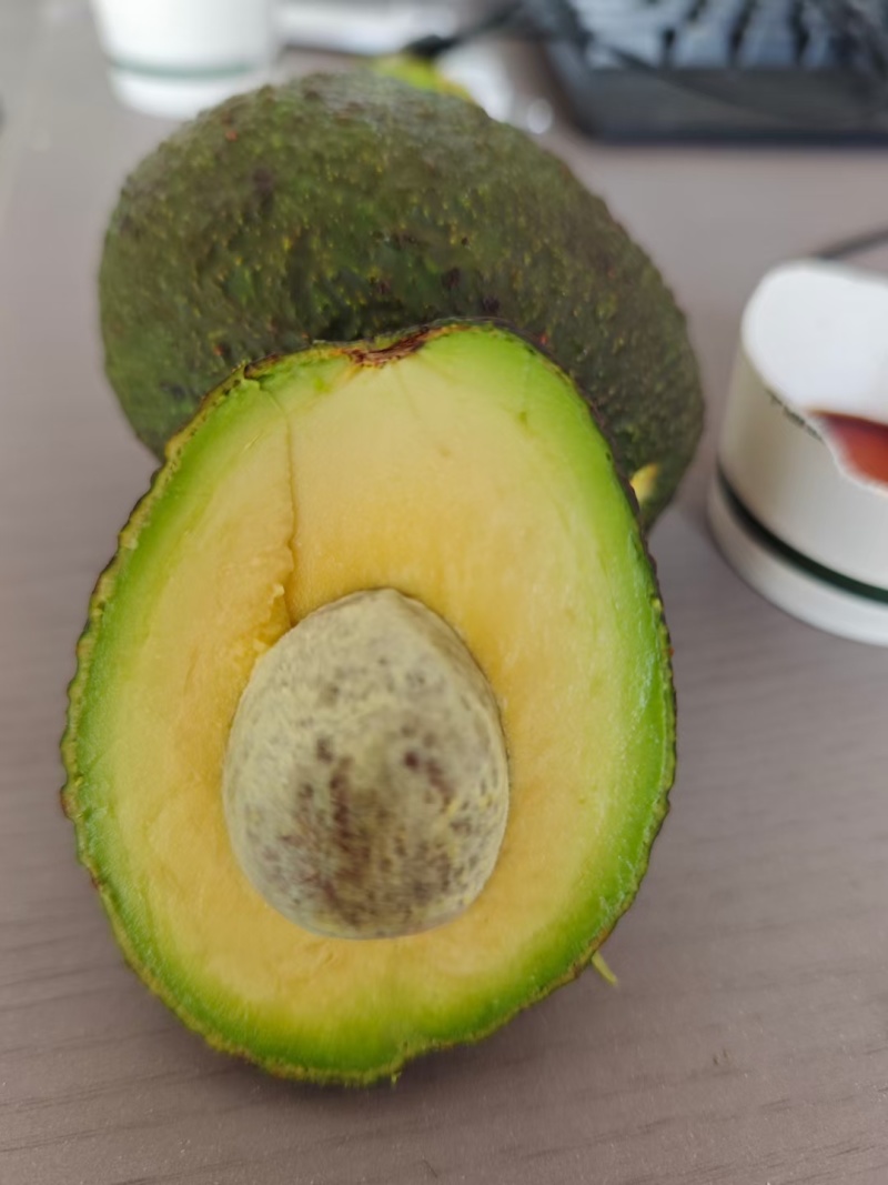 云南孟连县哈斯牛油果自家种植了十多亩果农没有中间商赚差价