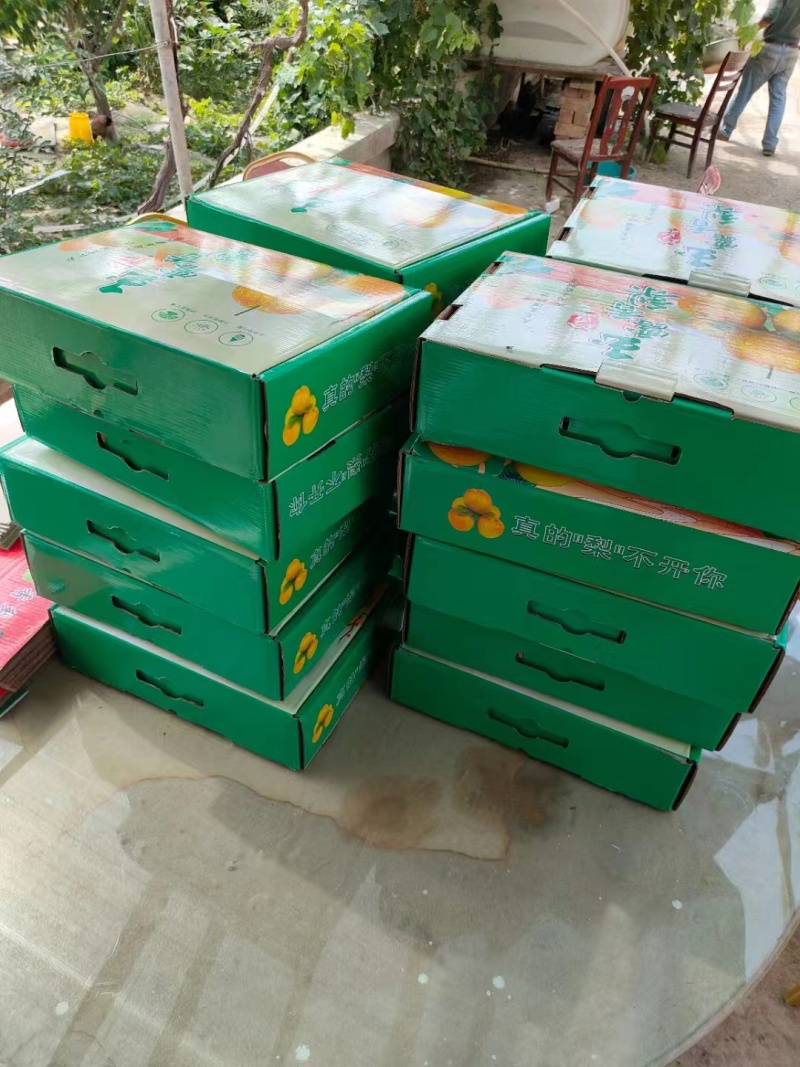 玉露香梨新疆香梨，产地一手货源，可视频看货对接全国客商