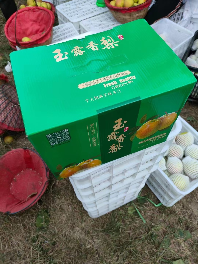 玉露香梨新疆香梨，产地一手货源，可视频看货对接全国客商