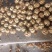 核桃云南大麻子皮薄核桃高山老树核桃皮薄口感香回甜