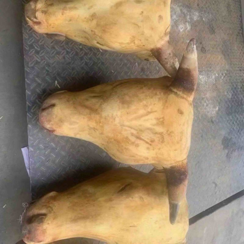 火烧牛头带牛舌肉锥