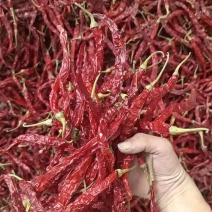 内蒙二荆条干辣椒，山西加工一手货源，量大可优惠，对接全国