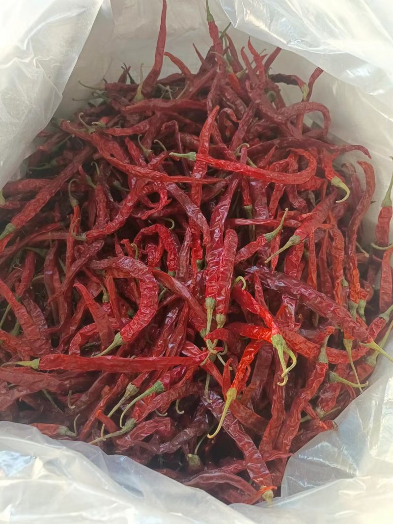 内蒙二荆条干辣椒，山西加工一手货源，量大可优惠，对接全国