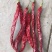 内蒙二荆条干辣椒，山西加工一手货源，量大可优惠，对接全国