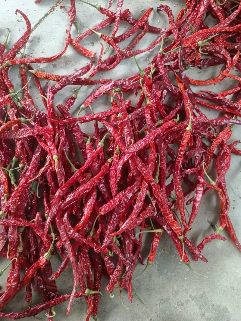 内蒙二荆条干辣椒，山西加工一手货源，量大可优惠，对接全国