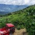 咖啡壳豆阿拉比卡豆，100吨，出米率82%，水分11%