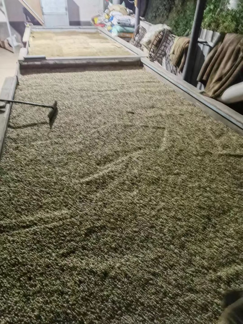 咖啡壳豆阿拉比卡豆，100吨，出米率82%，水分11%