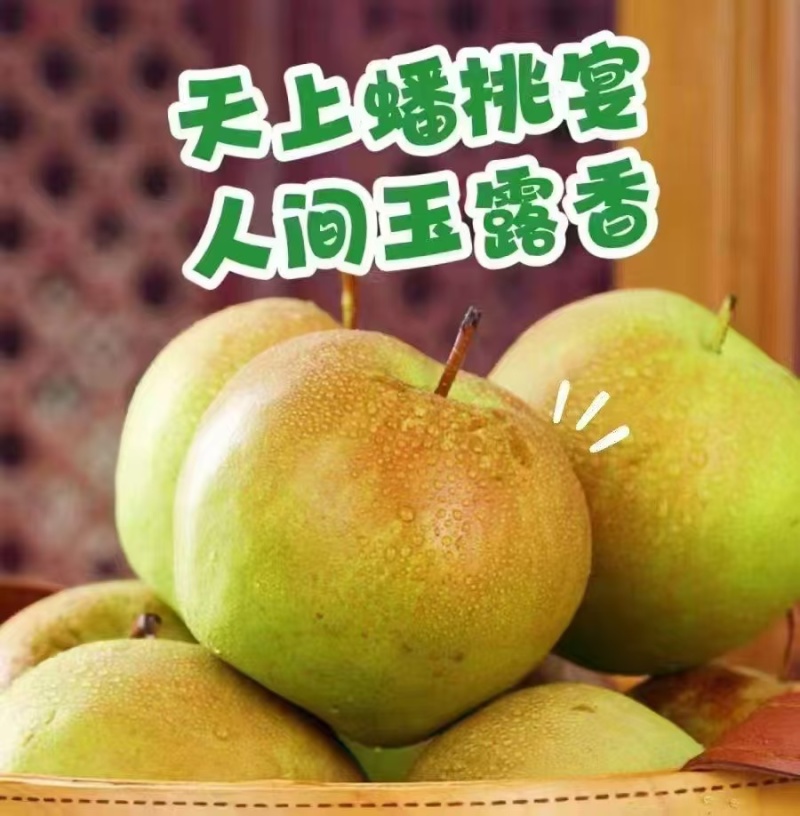 山西香梨玉露香梨货源充足产地直供量大从优一件代发