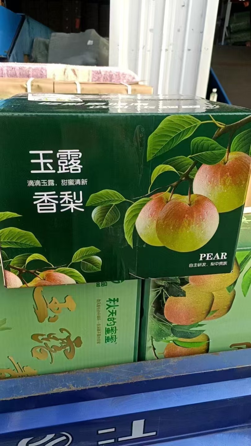 山西香梨玉露香梨货源充足产地直供量大从优一件代发
