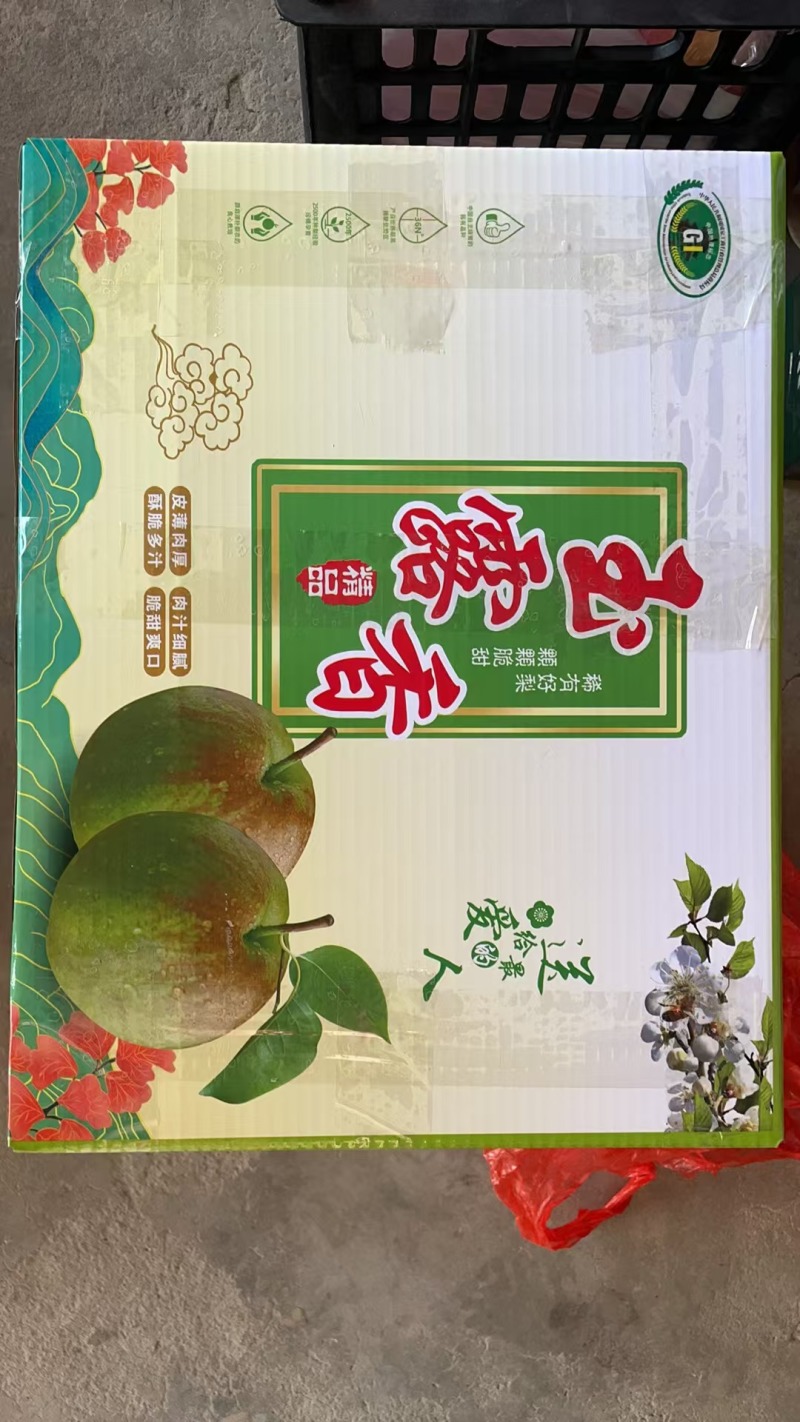 山西香梨玉露香梨货源充足产地直供量大从优一件代发