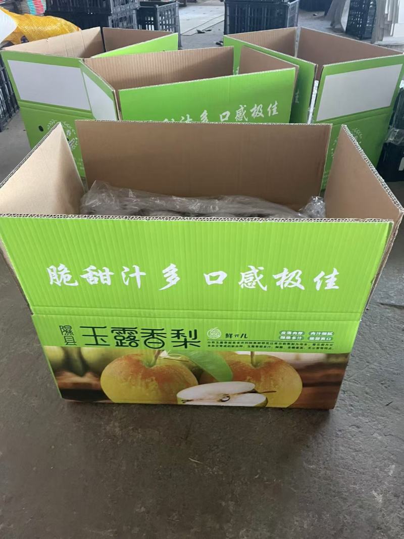 山西香梨玉露香梨货源充足产地直供量大从优一件代发
