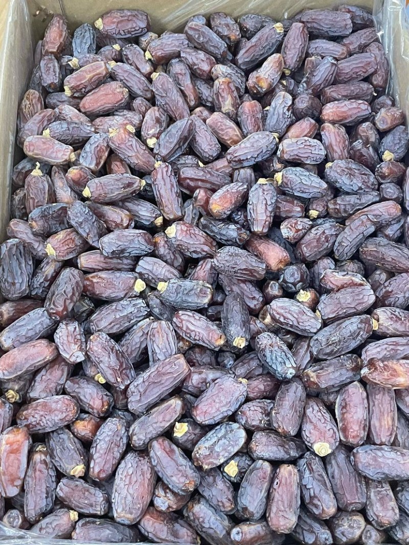 精选椰枣