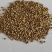 新货香菜籽芫荽子芫茜孑香菜籽胡荽籽香料调味卤料调味料