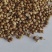 新货香菜籽芫荽子芫茜孑香菜籽胡荽籽香料调味卤料调味料
