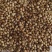 新货香菜籽芫荽子芫茜孑香菜籽胡荽籽香料调味卤料调味料
