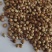 新货香菜籽芫荽子芫茜孑香菜籽胡荽籽香料调味卤料调味料