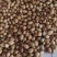 新货香菜籽芫荽子芫茜孑香菜籽胡荽籽香料调味卤料调味料
