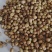 新货香菜籽芫荽子芫茜孑香菜籽胡荽籽香料调味卤料调味料