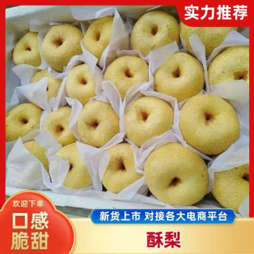 安徽酥梨基地货源脆甜酥脆一手货源，诚信为本！商超直供