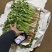 大叶香菜/铁杆香菜/精品香菜/小叶香菜/精品芫荽/全国可