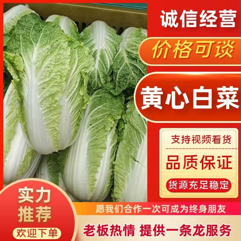 【推荐】大白菜现货供应需要的老板请联系全国接单发货