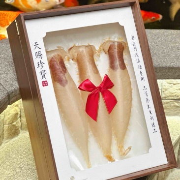 本港刺花赤嘴筒3支装