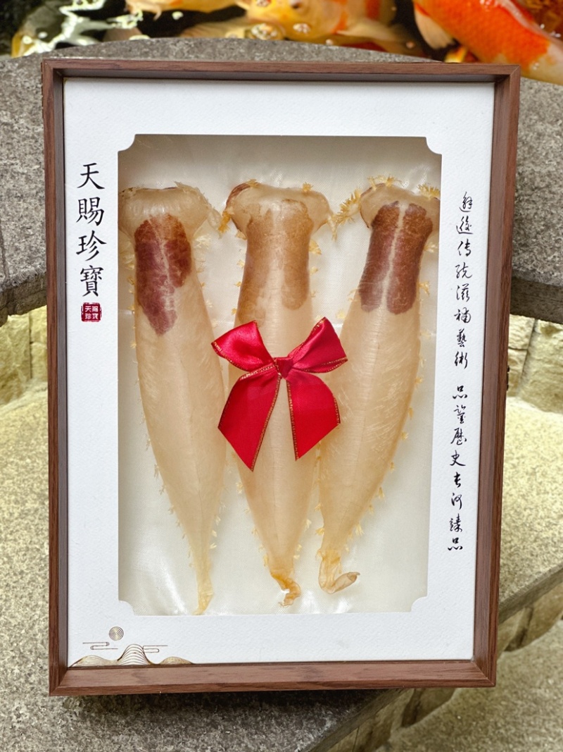 本港刺花赤嘴筒3支装