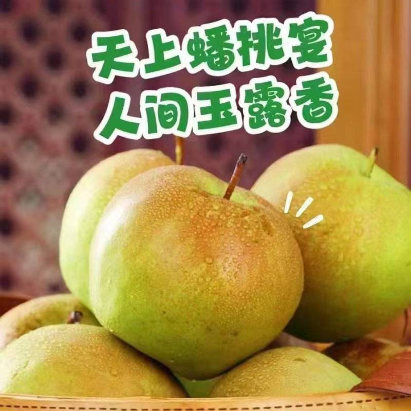 山西香梨玉露香梨货源充足产地直供量大从优一件代发