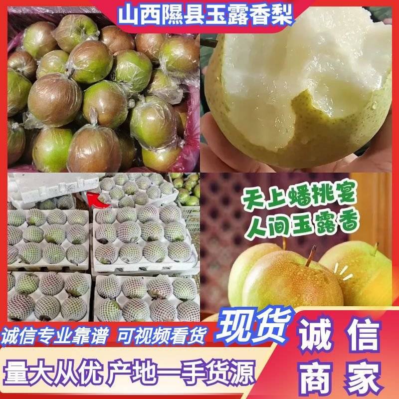山西隰县香梨玉露香梨库存货量大从优批发零售欢迎