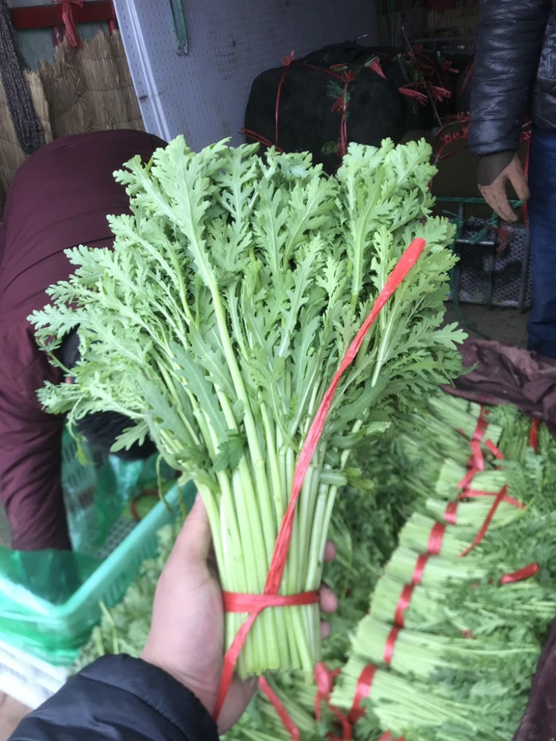 茼蒿菜，蒿子杆，毛把菜，实心光杆，质优价廉